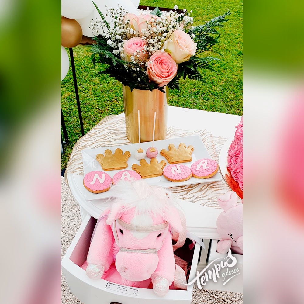 Princesas & Princesas Disney