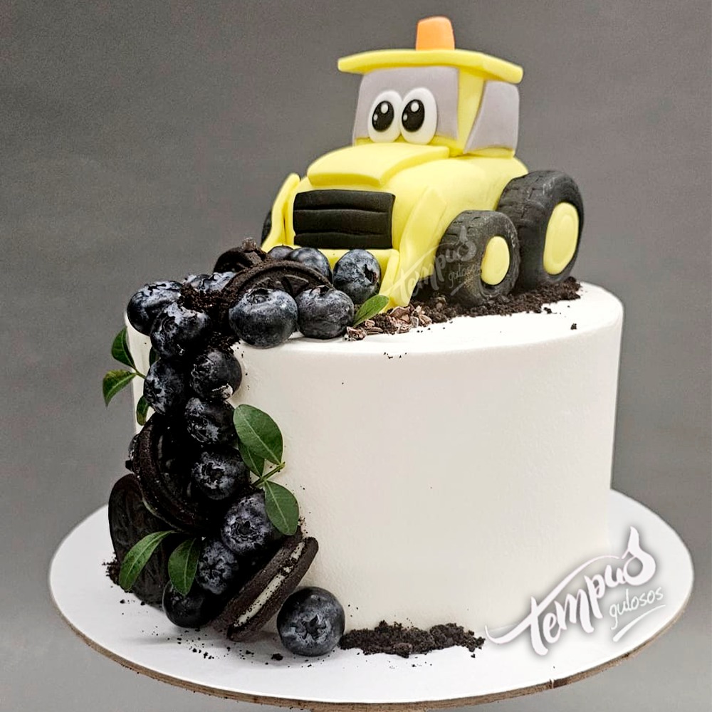 Carrinhos e Tratores